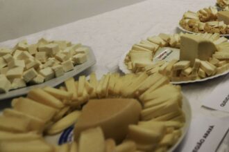 brasil-comeca-a-importar-queijo-mais-barato-apos-acordo-mercosulue