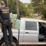 comercio-ilegal-de-cigarros-eletronicos-e-convencionais-e-alvo-da-pf