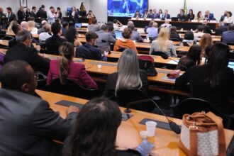ccj-da-camara-adia-analise-da-pec-da-reducao-da-maioridade-penal
