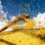 conab:-producao-de-graos-pode-chegar-a-358,6-milhoes-de-toneladas
