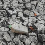 australia-afirma-que-el-nino-deve-ser-o-mais-forte-das-ultimas-decadas