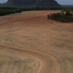 fim-da-moratoria-da-soja-pode-ampliar-destruicao-da-amazonia