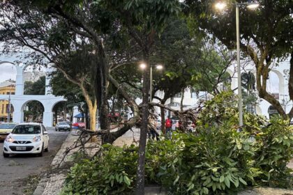 meteorologistas-dizem-que-nao-e-possivel-associar-ventanias-ao-el-nino