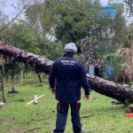 sul,-sudeste-e-centro-oeste-tem-alerta-para-tempestades-e-vendavais