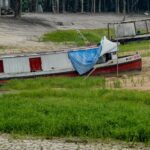 cop17-comeca-na-mongolia-com-foco-em-seca,-terra-e-financiamento