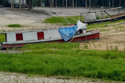 cop17-comeca-na-mongolia-com-foco-em-seca,-terra-e-financiamento