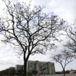 grande-parte-do-pais-tem-temperaturas-elevadas-nesta-terca-feira