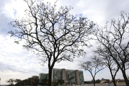 grande-parte-do-pais-tem-temperaturas-elevadas-nesta-terca-feira