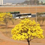 centro-oeste-tem-tres-alertas-ativos-para-chuvas-e-baixa-umidade