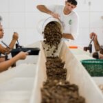 consulta-sobre-bens-sustentaveis-no-acordo-mercosulue-acaba-na-quarta