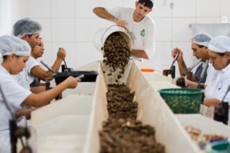 consulta-sobre-bens-sustentaveis-no-acordo-mercosulue-acaba-na-quarta