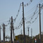 em-5-anos,-furto-de-fios-de-cobre-no-rio-deu-prejuizo-de-r$-69-milhoes