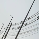 operacao-em-ferros-velhos-quer-reduzir-furto-de-fios-de-cobre-no-rio