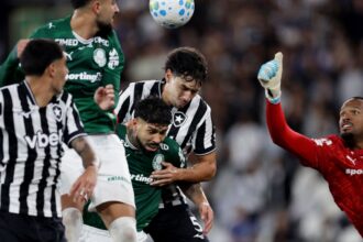 botafogo-segura-palmeiras-e-ajuda-flamengo,-novo-lider-do-brasileirao
