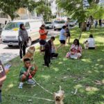 forte-terremoto-sacode-o-panama;-operacoes-do-canal-seguem-normalmente